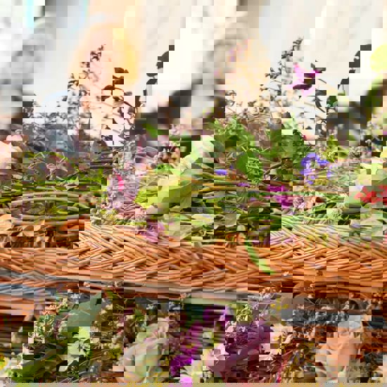 Flowers1